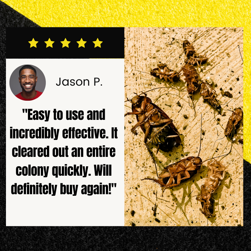 Cvreoz® QuikCatch Killer RoachAce Bait Station