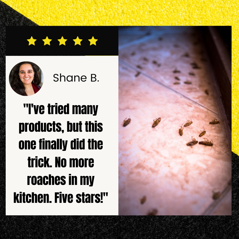 Cvreoz® QuikCatch Killer RoachAce Bait Station